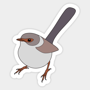 Female Superb Fairy Wren Sticker